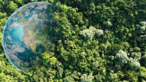 Limpieza ultrasónica en casa